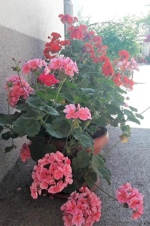 Holiday Home Ivana Pasjak Croatia