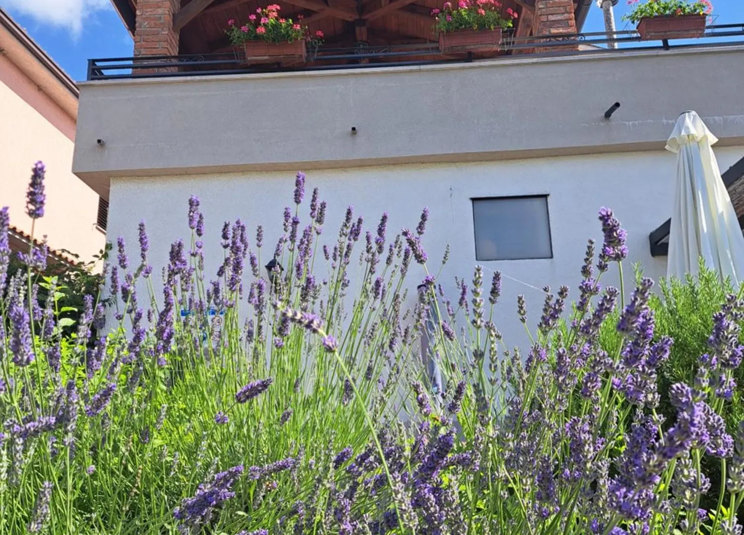Holiday Home Ivana Pasjak Croatia